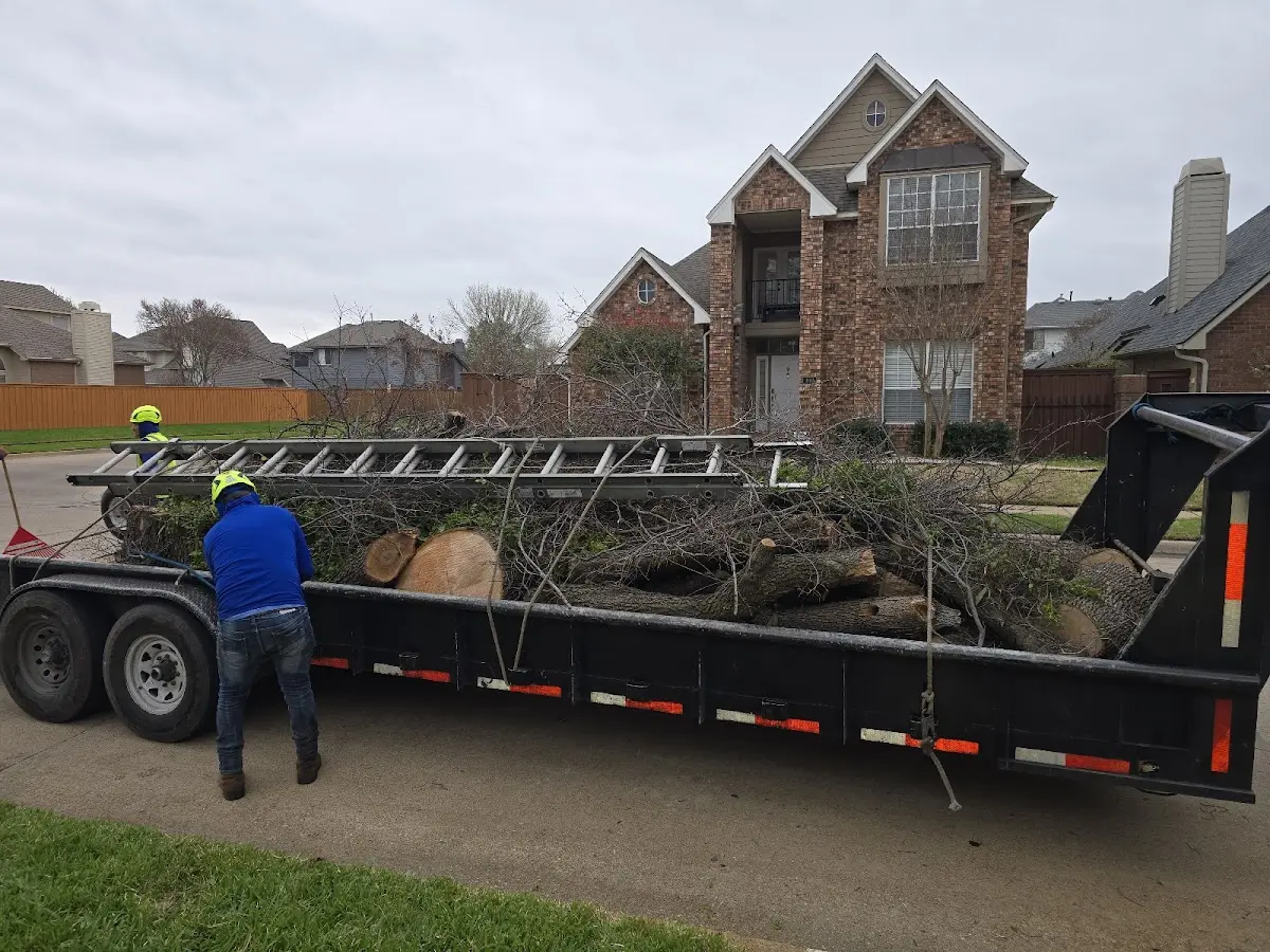 Expert Tree Fertilization with proper safety equipment in Wartrace
